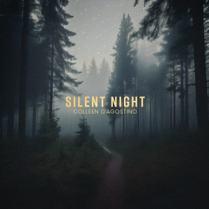 Listen to Silent Night song with lyrics from Colleen D'Agostino