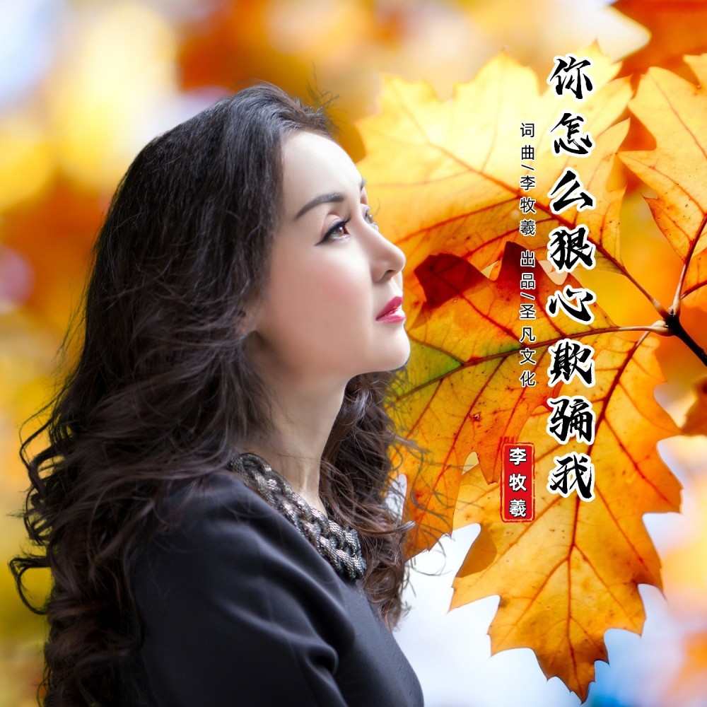 你怎么狠心欺骗我（DJ版） (伴奏)