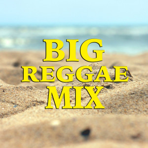 Album Big Reggae Mix from Various Artists