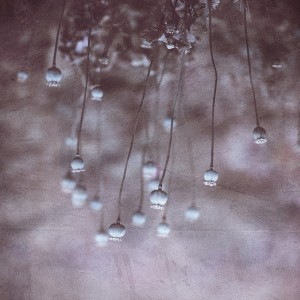Listen to Cleveland Rain song with lyrics from illi mel