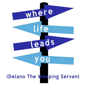 Listen to Where Life Leads You song with lyrics from iDelano The Weeping Servant