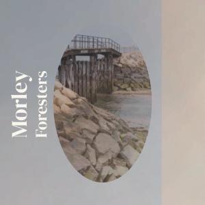 Album Morley Foresters from 