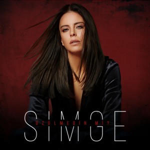 Album Üzülmedin mi? from Simge