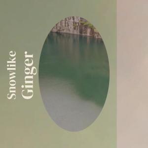 อัลบัม Snowlike Ginger ศิลปิน Various