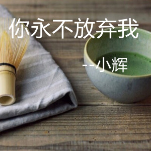 收听小辉的你永不放弃我歌词歌曲