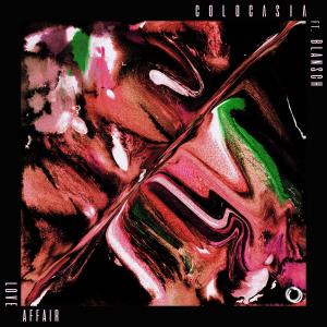 ดาวน์โหลดและฟังเพลง Love Affair (feat. Blansch) พร้อมเนื้อเพลงจาก Colocasia