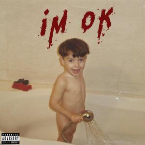 ดาวน์โหลดและฟังเพลง im ok (Explicit) พร้อมเนื้อเพลงจาก Balor