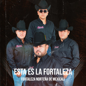Listen to No Lastimes Mas song with lyrics from Fortaleza Norteña De Mexicali