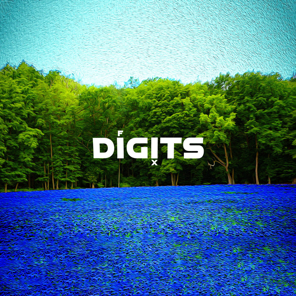 Digits
