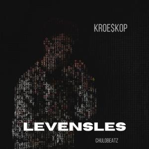 ดาวน์โหลดและฟังเพลง Levensles (Explicit) พร้อมเนื้อเพลงจาก Kroe$kop