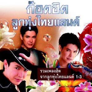 收聽ก๊อท จักรพันธ์的แม่อยากอุ้มหลาน歌詞歌曲