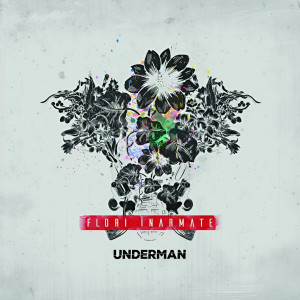 Listen to Raiduri Aeriene song with lyrics from Underman
