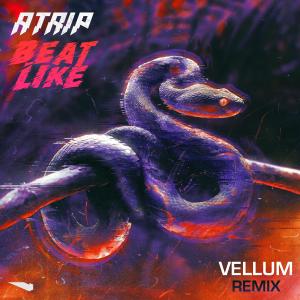 收听Atrip的Beat Like (Vellum Remix)歌词歌曲