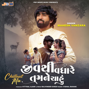 Album Jiv Thi Vadhare Tamne Chahu Chillout Mix from 