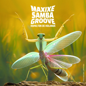 Hamilton De Holanda的專輯Maxixe Samba Groove