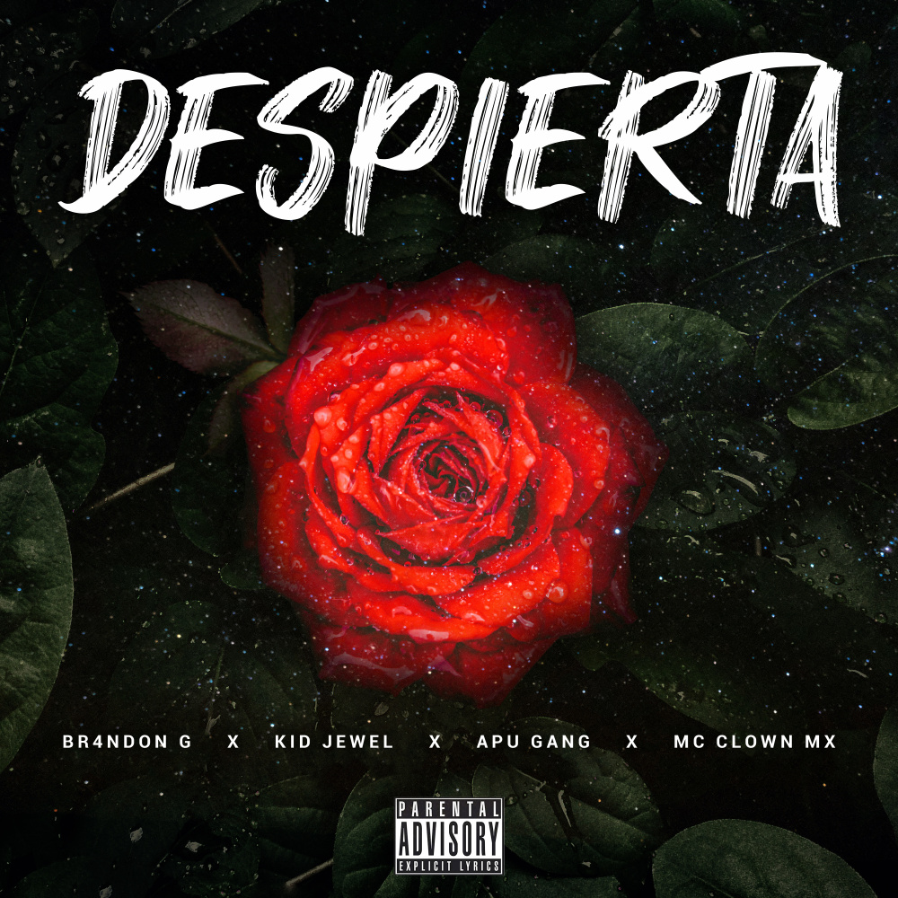Despierta