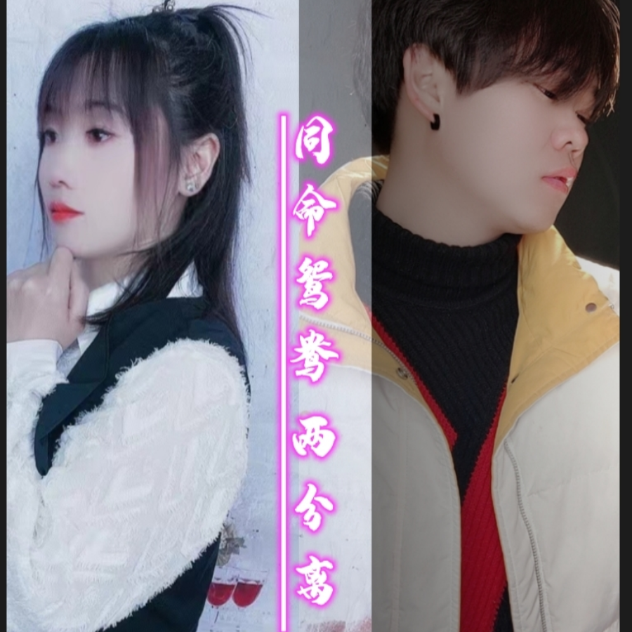 同命鸳鸯两分离 (完整版)
