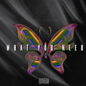 Album What You Need (Explicit) from Angie Santana