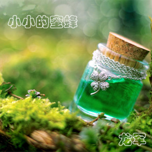 Dengarkan lagu 小小蜜蜂 nyanyian 龙军 dengan lirik