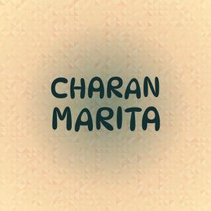 Various的专辑Charan Marita