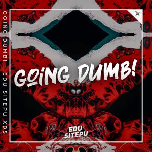 Edu Sitepu XDS的專輯Going Dumb (Explicit)