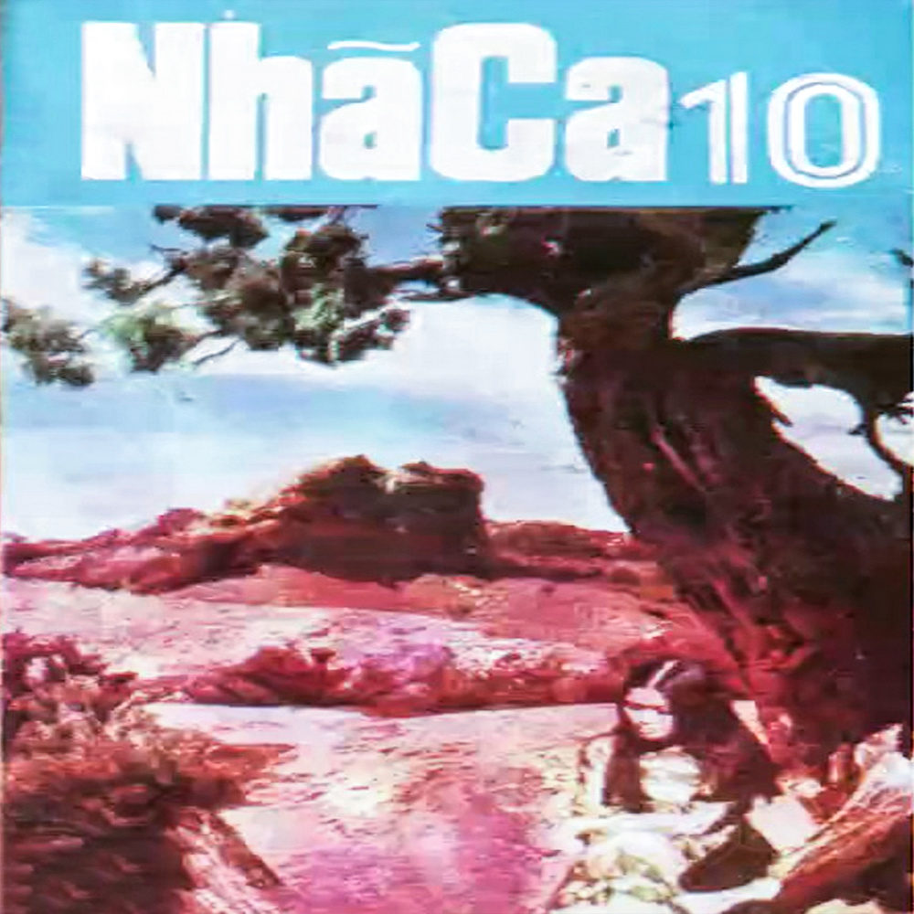 Bước chân kỷ niệm