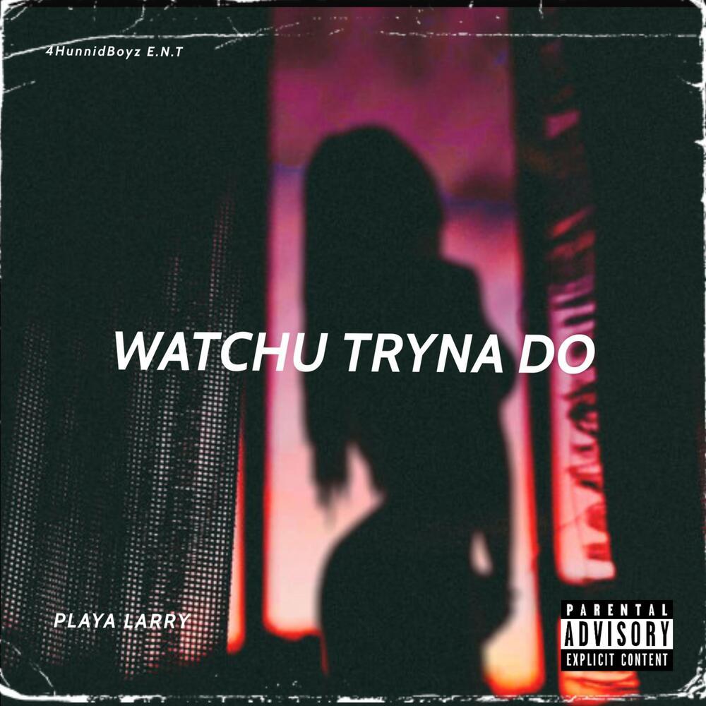Watchu Tryna Do(Parody Song) (Explicit)