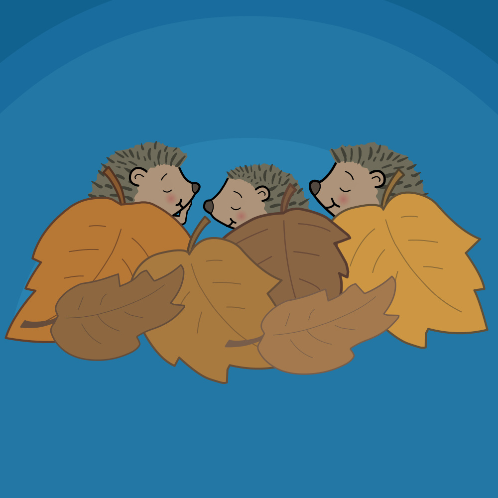 Kleine Igel schlafen gern