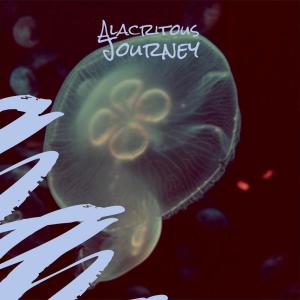 Album Alacritous Journey from Various Artists