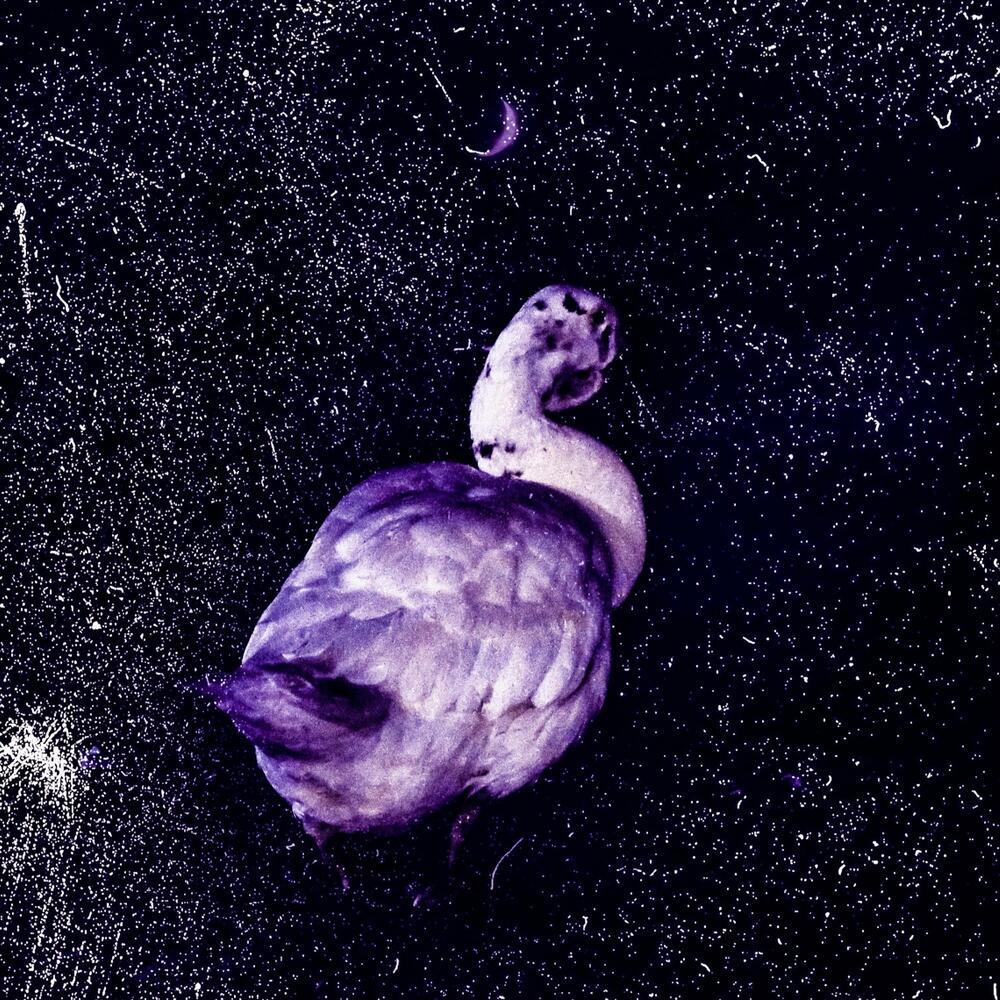 AMETHYST_2021 (Explicit)