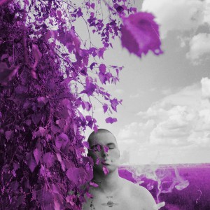 Listen to Pink Owl song with lyrics from BOULANCURD
