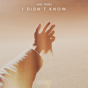ดาวน์โหลดและฟังเพลง I Didn't Know พร้อมเนื้อเพลงจาก Joel Peres