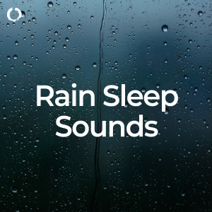 อัลบัม Rain Sleep Sounds ศิลปิน Regen zum Schlafen