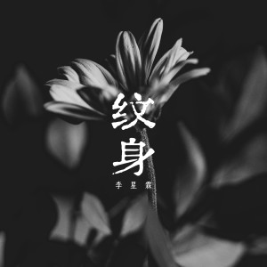 Album 纹身 from 李星霖