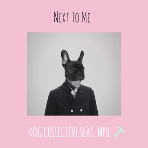 ดาวน์โหลดและฟังเพลง Next To Me พร้อมเนื้อเพลงจาก Dog Collective