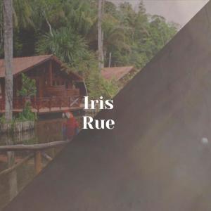 Listen to Somaesthesia Altitude song with lyrics from Isram