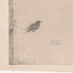 收听唐映枫的我紛揚的世間歌词歌曲