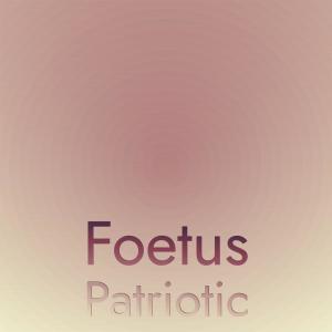 Various Artists的專輯Foetus Patriotic