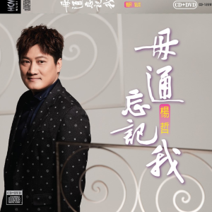 Listen to 若是有一天 song with lyrics from 杨哲