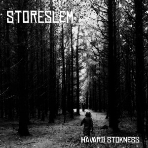 ดาวน์โหลดและฟังเพลง Storeslem พร้อมเนื้อเพลงจาก Håvard Stokness