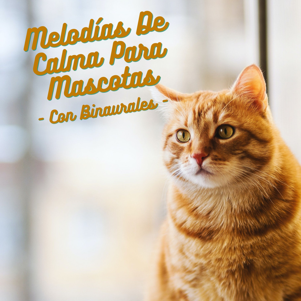Relajación De Mascotas Con Sonidos Binaurales