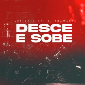 Listen to Desce e Sobe (Explicit) song with lyrics from DJ Thamara