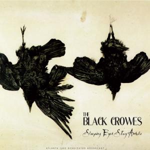 收聽The Black Crows的No Speak No Slave (Live 1992)歌詞歌曲