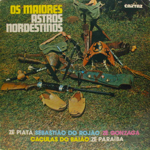 收听Sebastiao Do Rojao的Meus Canarinhos歌词歌曲