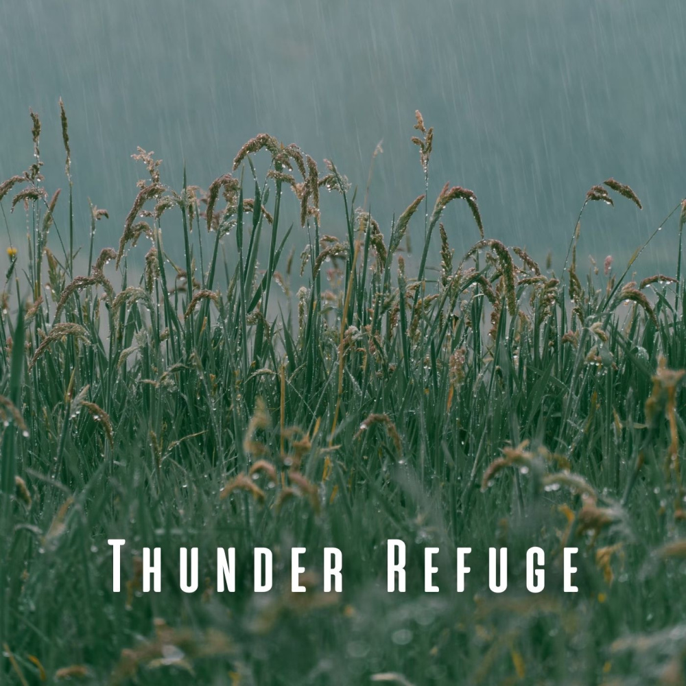 Melodic Rain Tunes for Relaxation