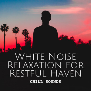 Dinner Time Playlist的專輯Chill Sounds: White Noise Relaxation for Restful Haven