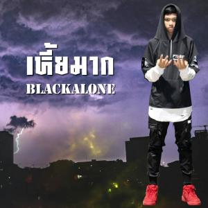 ดาวน์โหลดและฟังเพลง เหี้ยมาก พร้อมเนื้อเพลงจาก BLACKALONE