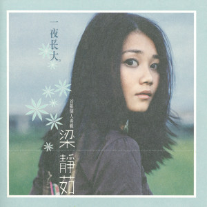 ดาวน์โหลดและฟังเพลง 迷路 พร้อมเนื้อเพลงจาก 梁静茹
