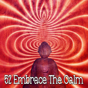 Album 52 Embrace The Calm from New Age