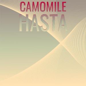 Album Camomile Hasta from Various